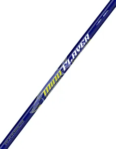 Colmic Mindflayer canna da pesca allo storione 4,20 m 250 g Canne Carpfishing Colmic