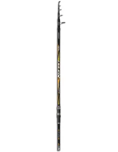 Colmic Konan fishing rod for Sturgeon, Catfish, Carp 4.20 m No Limits 2