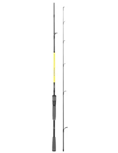 Seika Intense AR Carbon Spinning Fishing Rods