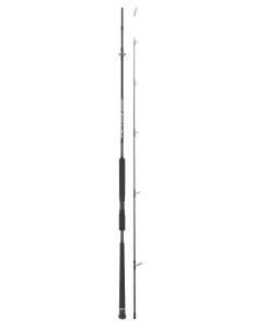 Seika Stretto Shore canne da pesca shore jigging Canne Vertical Jigging Seika