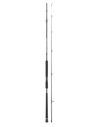 Seika Stretto Shore canne da pesca shore jigging Canne Vertical Jigging Seika