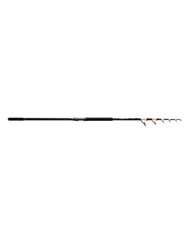 Reading La Bestia Canna da pesca Storione 250-300 g 4.20mt Canne da fondò Reading