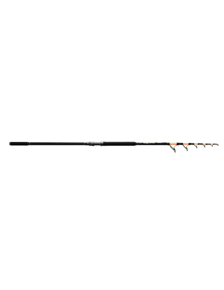 Reading La Bestia Canna da pesca Storione 250-300 g 4.20mt Canne da fondò Reading