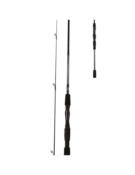 Reading Canna da Pesca ALTERA Canne da spinning Reading