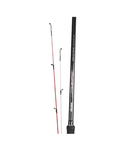Reading Canna da Pesca CEYMAR FEEDER Canne Feeder Ledgering Reading