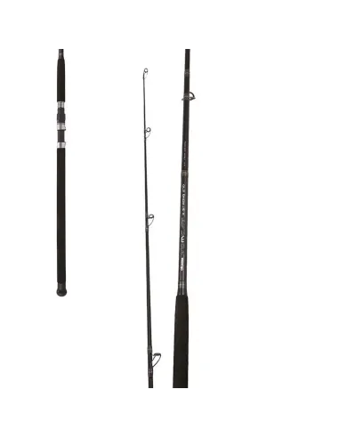 Reading Canna da Pesca TOMCAT Canne da spinning Reading