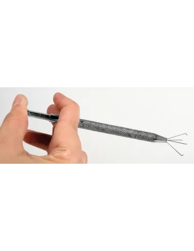 Reggi Boilies Carpfishing Lineaeffe