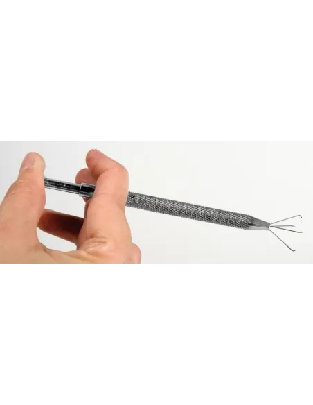 Reggi Boilies Carpfishing Lineaeffe