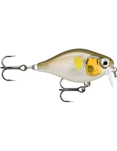 Rapala Minnow X-Light Crank Shallow Runner 4 Gr Artificiale da Pesca Rapala Minnow Rapala
