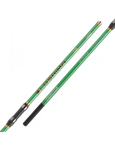 Canna da Pesca Surf Casting in Carbonio 4.20 mt 3 pezzi Oshima Canne da pesca Sele