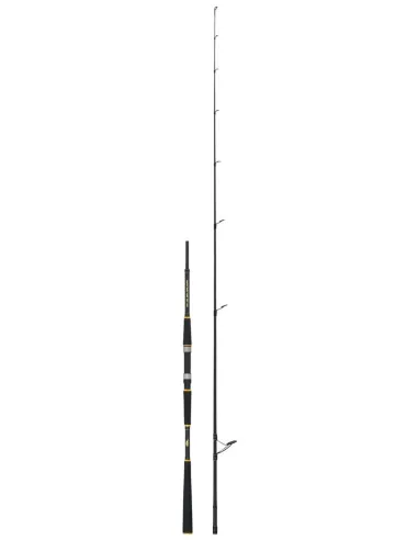 SEIKA Sea Sun – Boat and Reef Spinning Rod for Marine Predators, Reactive Action