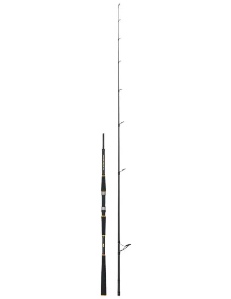 SEIKA Sea Sun – Canna Spinning da Barca e Scogliera per Predatori Marini, Azione Reattiva Canne da spinning Seika