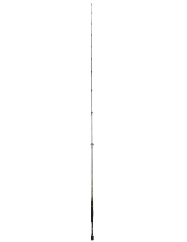 SEIKA SW Seabass SB – R18 Carbon Spinning Rod for Sea Bass, Fast and Extra Fast Actions
