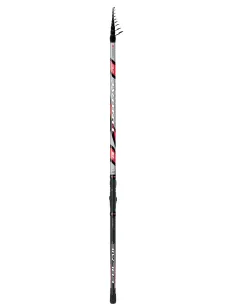 Colmic TINDAL – Canna Leggera e Bilanciata per Pesca All Round in Acque Interne e Mare, Casting 50–100 g Canne bolognesi/fiss...