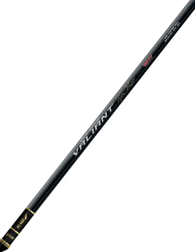 Colmic VALIANT rod for bottom fishing and drifting - Lightweight, balanced with double tips and tip holder