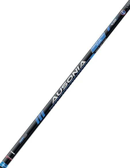 Colmic AUSONIA 4.00 m rod for drifting and bottom fishing - Medium and Strong, double interchangeable tips