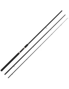 Canna da Pesca Inglese Float master Ngt Canne da pesca 2