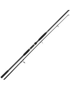 Canna Spod Rod 5 lbs Canne da pesca 2