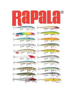 Rapala Husky Jerk 10 cm Esche Artificiali Rapala 2