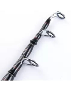 Fishing rod Telescopic Surf Akami Arteta  2