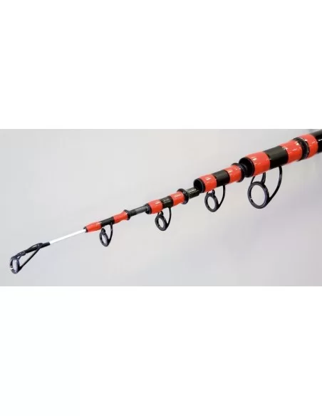 Fishing Ferrari Canna da Pesca Surfcasting Cast Maxx 4.20 metri Canne da pesca Fishing Ferrari