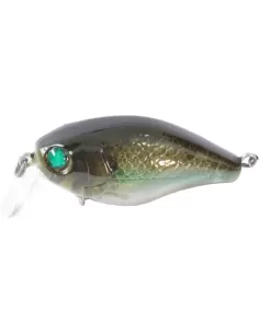 kit 3 Artificiale Pesca Spinning Kraken Kolpo 40 mm Esche Artificiali Kolpo 2