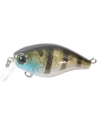 kit 3 Artificiale Pesca Spinning Kraken Kolpo 40 mm Esche Artificiali Kolpo