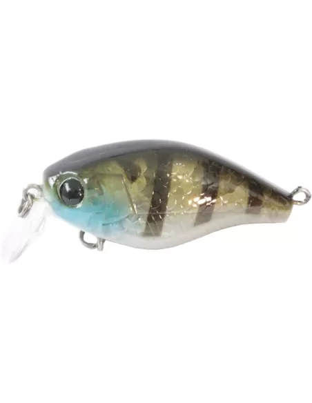 kit 3 Artificiale Pesca Spinning Kraken Kolpo 40 mm Esche Artificiali Kolpo