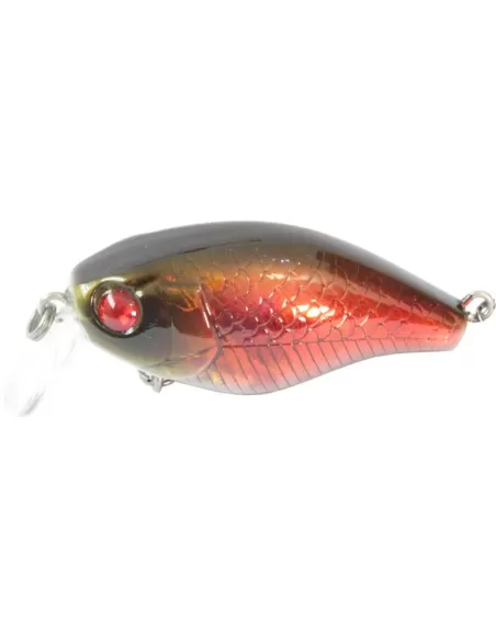 kit 3 Artificiale Pesca Spinning Kraken Kolpo 40 mm