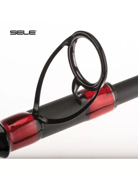 Sele Canna Surfcasting Carbonio Global One 4.20 mt Azione 200 gr Canne da pesca Sele