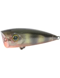 Kit 3 Kolpo Spot fishing popper snare sto0s 60 Grams 7.2  2