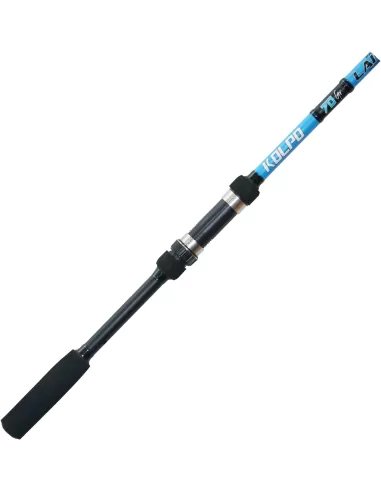 Kolpo Lake Feeder Canna da Pesca Feeder 70 gr Canne da pesca per professionisti e principianti Kolpo