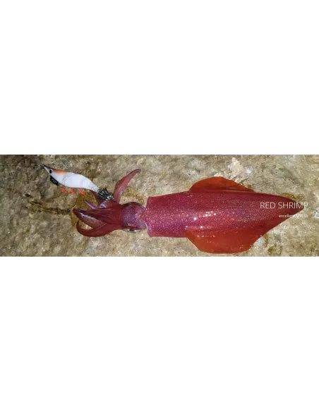 Dtd Red Shrimp Egi Squid Jig 3.0 Esche Artificiali Dtd