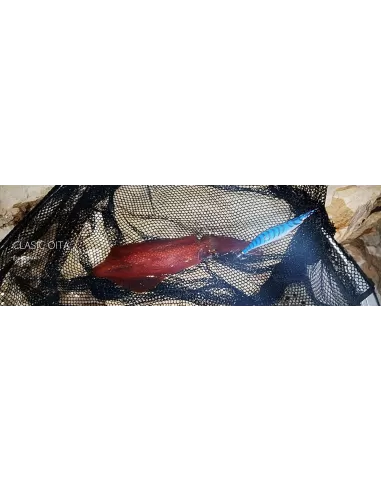 Dtd Classic Oita Egi Squid Totanara