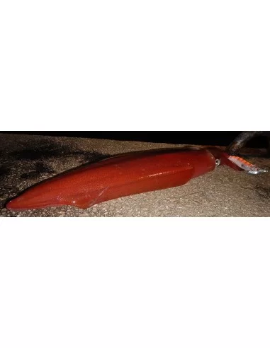 Dtd Panic Egi Totanara da Eging Esche Artificiali Dtd