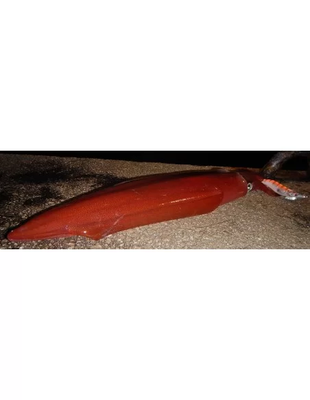 Dtd Panic Egi Totanara da Eging Esche Artificiali Dtd
