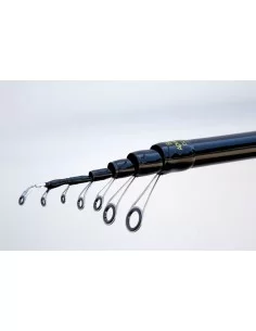 Lineaeffe Freccia Bolo Canna da Pesca Bolognese Canne da pesca Lineaeffe 2