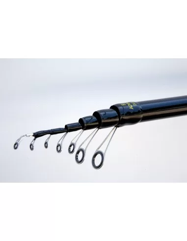 Lineaeffe Freccia Bolo Canna da Pesca Bolognese Canne da pesca Lineaeffe