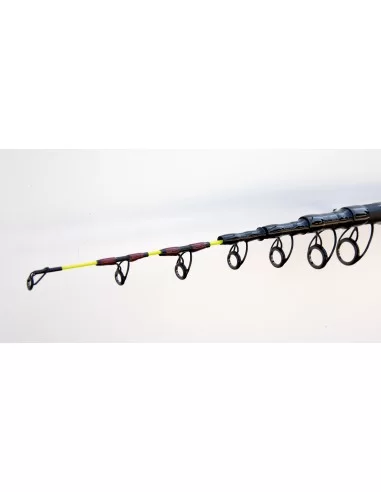 Fishing Ferrari Pro Boat Canna da Pesca Bolentino 100 gr