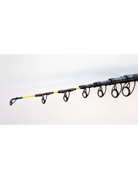 Fishing Ferrari Pro Boat Canna da Pesca Bolentino 100 gr