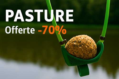 Pasture