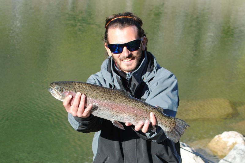 trout in autumn