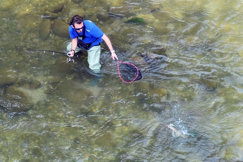 pesca spinning trota