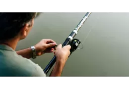 Pesca autunnale: i prodotti per pescare cefalopodi e sgombri