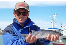 Pesca con la bolognese: tecnica, attrezzatura, esche
