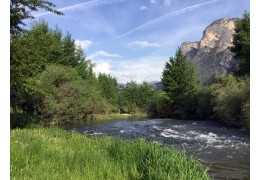 Pesca in Trentino sul torrente Noce