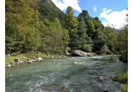 Fishing in Trentino on the Sarca river: the best tips for having fun!