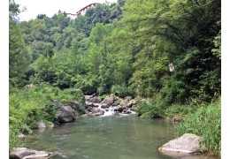 Pesca in Trentino sul fiume Chiese