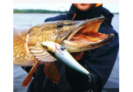 Umbria e la pesca a spinning