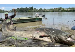 Canne Siluro: la Guida Completa al Catfishing per Pescatori Estremi